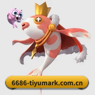 6686体育官方app APP