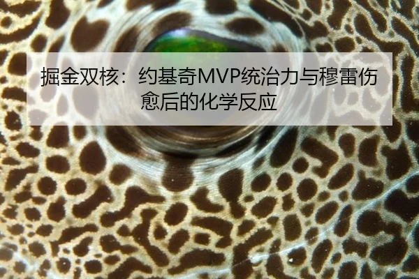 掘金双核：约基奇MVP统治力与穆雷伤愈后的化学反应