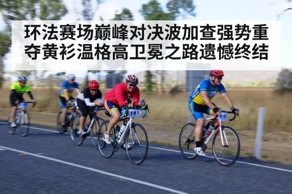 环法赛场巅峰对决波加查强势重夺黄衫温格高卫冕之路遗憾终结